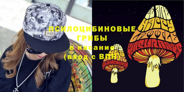 ПСИЛОЦИБИНОВЫЕ ГРИБЫ Лихославль